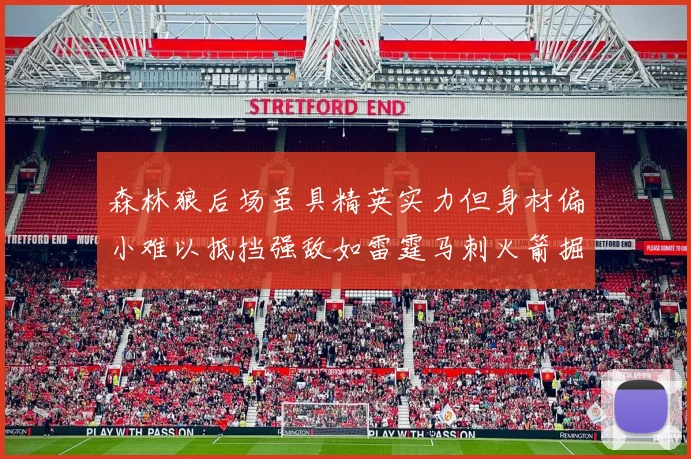 森林狼后场虽具精英实力但身材偏小难以抵挡强敌如雷霆马刺火箭掘金